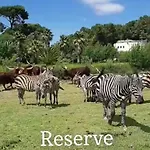 Avec Piscine Proche Plages דירה *