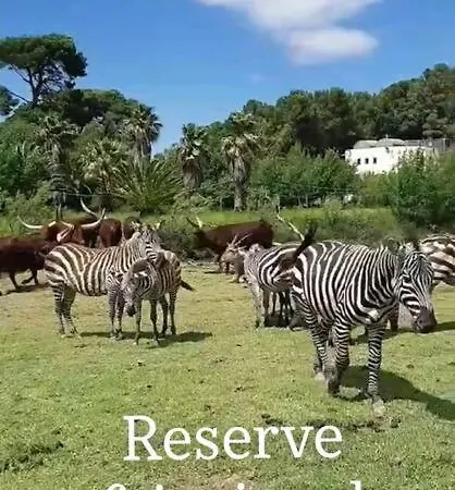 Avec Piscine Proche Plages Apartmán *