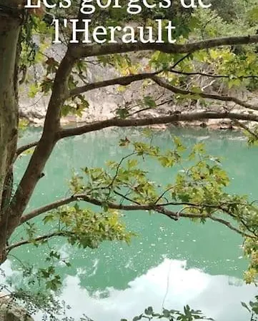Avec Piscine Proche Plages * アグド