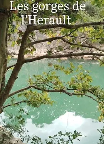 Avec Piscine Proche Plages * 阿格德