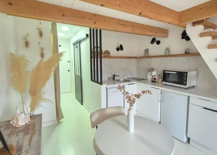 Avec Piscine Proche Plages * Agde