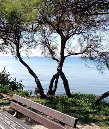 Avec Piscine Proche Plages Apartment *