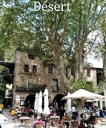 Avec Piscine Proche Plages