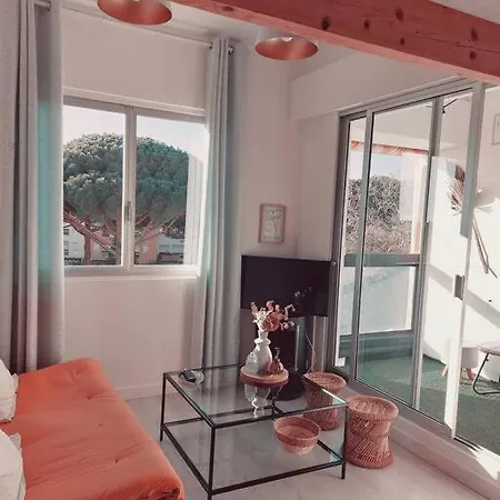 Avec Piscine Proche Plages Agde