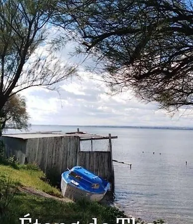 Apartment Avec Piscine Proche Plages *