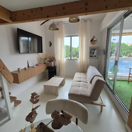 Avec Piscine Proche Plages Apartment Agde