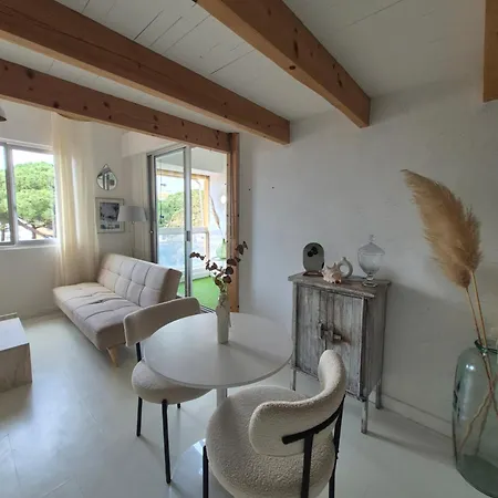 Apartment Avec Piscine Proche Plages