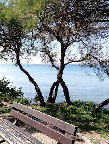 Avec Piscine Proche Plages Appartement *