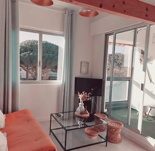 Avec Piscine Proche Plages Agde