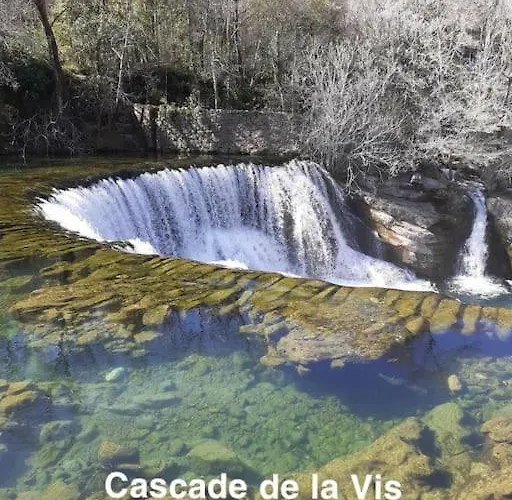 Avec Piscine Proche Plages Appartement