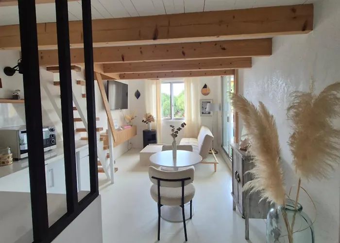 Avec Piscine Proche Plages * Agde