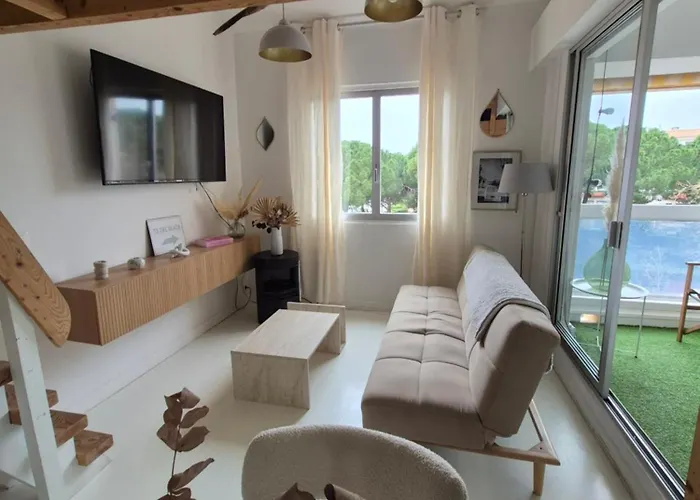 Avec Piscine Proche Plages Appartement Agde