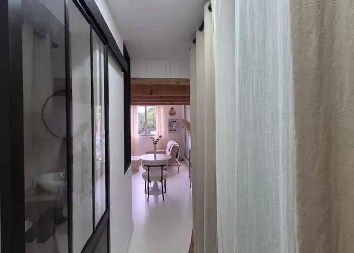 Avec Piscine Proche Plages Appartement